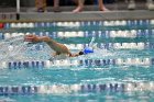 Swimming & Diving vs Babson  Swimming & Diving vs Babson College. - Photo by Keith Nordstrom : Wheaton, Swimming
